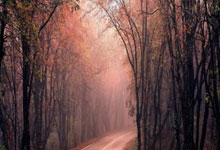 言出法随😁姆巴佩此前称更希望抽中马竞，这样就不用飞来飞去了.