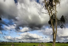 退役五年后复出？德转显示大连可为总经理于子千成为球队一员.