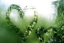 开云体育：“阳山杯”闭幕 常昊：感谢无锡对棋王赛的坚守.