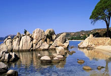 开云体育：劳姆：克洛普对红牛是财富并带来能量 穆西亚拉续约对德甲是好事.